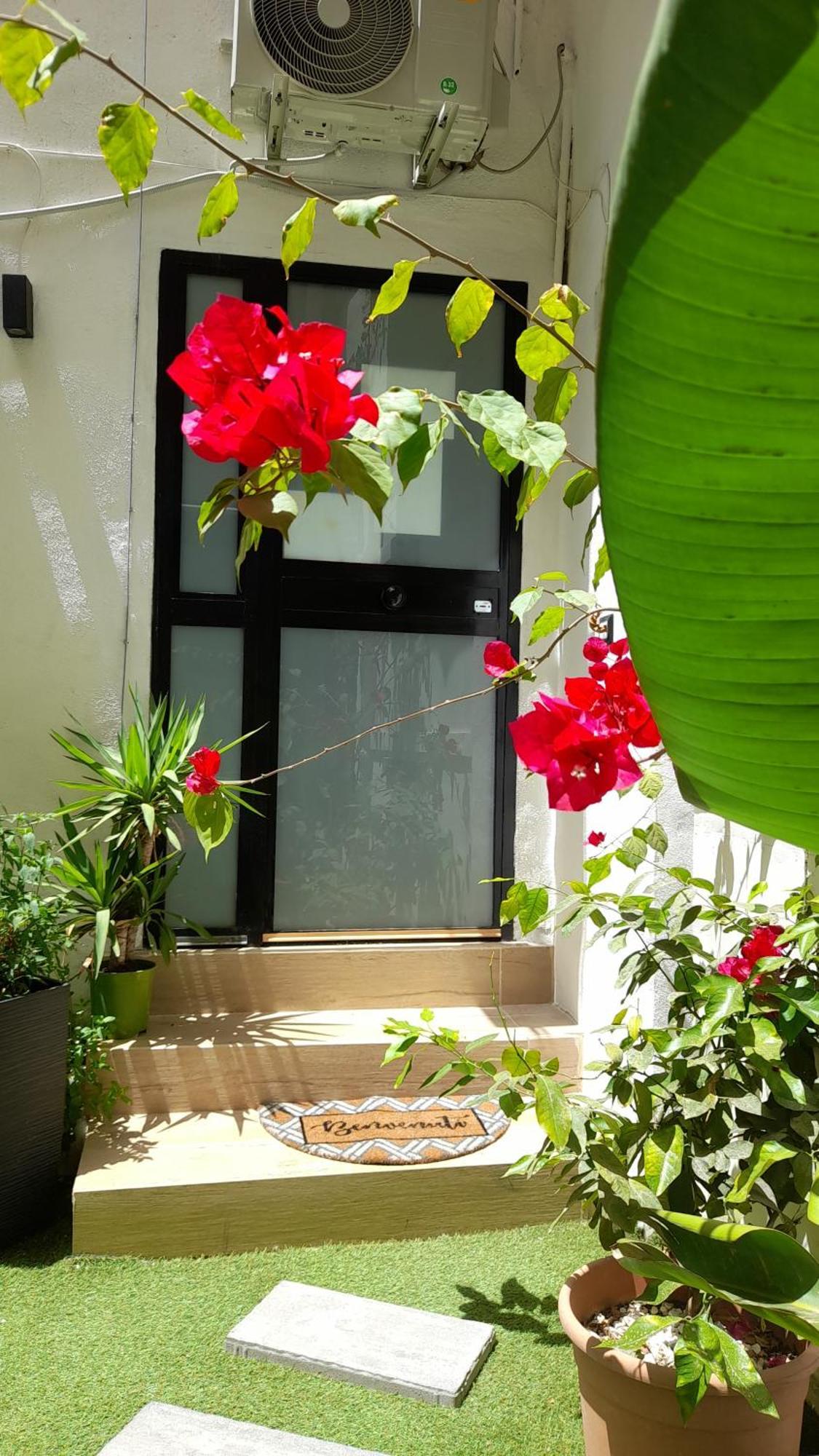 פלרמו Garden Suite Apartment מראה חיצוני תמונה